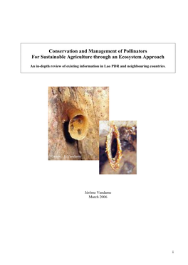 Pollination in Laos and Neighboring Countries