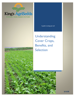 Understanding Cover Crops, Benefits, and Selection