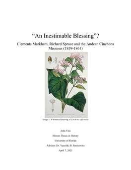 An “Inestimable Blessing”?