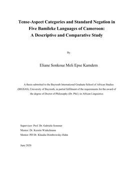 Tense-Aspect Categories and Standard Negation in Five Bamileke Languages of Cameroon: a Descriptive and Comparative Study