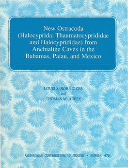 New Ostracoda (Halocyprida: Thaumatocyprididae and Halocyprididae) from Anchialine Caves in the Bahamas, Palau, and Mexico