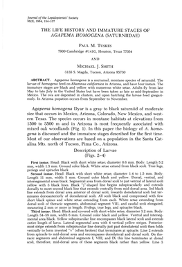 The Life History and Immature Stages of Agapema Homo Gena (Saturniidae)