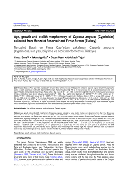 Age, Growth and Otolith Morphometry of Capoeta Angorae (Cyprinidae)