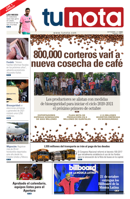 800,000 Corteros Van a Nueva Cosecha De Café