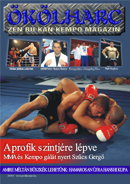 A Profik Szintjére Lépve MMA És Kempo Gálát Nyert Szűcs Gergő