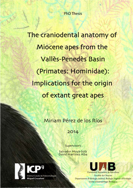 Primates: Hominidae): Implications for the Origin of Extant Great Apes