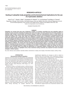 Scaling of Caterpillar Body Properties and Its Biomechanical Implications for the Use of a Hydrostatic Skeleton