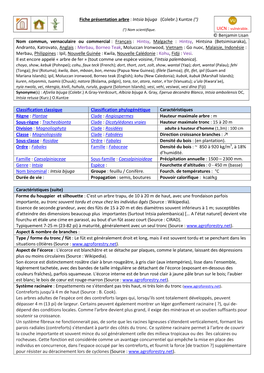 Fiche Présentation Arbre : Intsia Bijuga (Colebr.) Kuntze (°)
