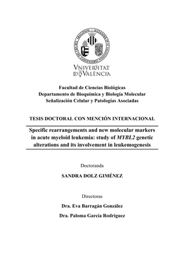 Specific Rearrangements and New Molecular Markers in Acute Myeloid Leukemia: Study of MYBL2 Genetic Alterations and Its Involvement in Leukemogenesis