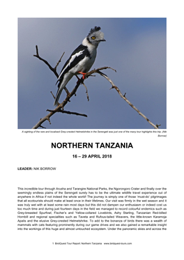 Northern Tanzania