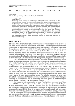 Demographic Processes in a Local Population: Seasonal Dynamics of the Sinai Baton Blue Butterfly