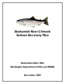 Skokomish River Chinook Salmon Recovery Plan