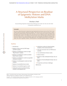 A Structural Perspective on Readout of Epigenetic Histone and DNA Methylation Marks