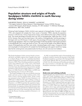 Population Structure and Origins of Purple Sandpipers Calidris Maritima in North Norway During Winter