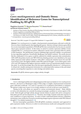 Carex Muskingumensis and Osmotic Stress: Identiﬁcation of Reference Genes for Transcriptional Proﬁling by RT-Qpcr