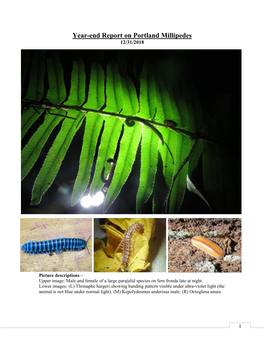 Report on Millipedes in the East Buttes