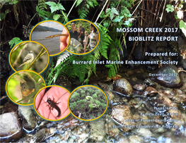 Mossom Creek 2017 Bioblitz Report
