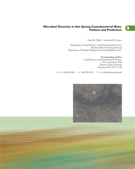 Microbial Diversity in Hot Spring Cyanobacterial Mats:Pattern And