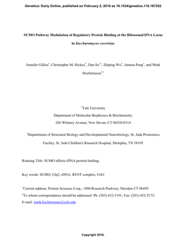 SUMO Pathway Modulation of Regulatory Protein Binding at the Ribosomal DNA Locus