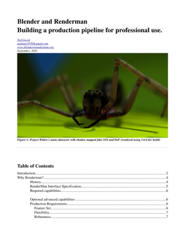 Blender and Renderman Building a Production Pipeline for Professional Use
