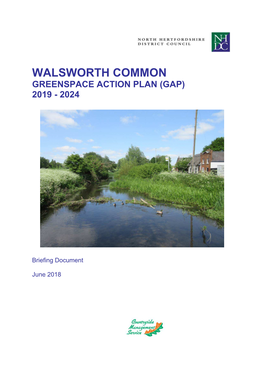 Walsworth Common GAP 2019-24 Briefing Document