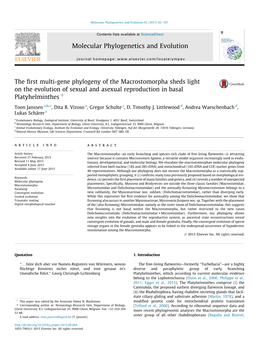 The First Multi-Gene Phylogeny of The