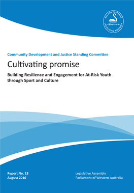 Cultivating Promise Building Resilience and Engagement for At-Risk Youth Through Sport and Culture