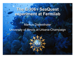 The E-906 / Seaquest Experiment at Fermilab