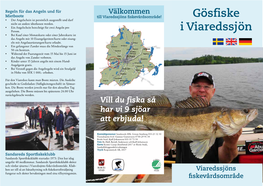 Gösfiske I Viaredssjön