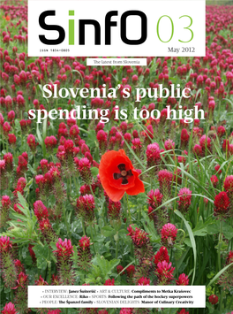 Slovenia's Public Spending Is Too High