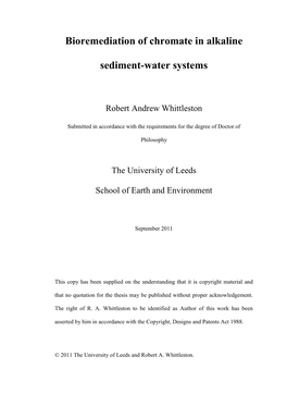 Bioremediation of Chromate in Alkaline Sediment-Water Systems