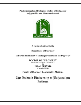 The Islamia University of Bahawalpur Pakistan
