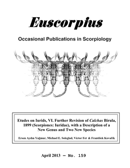 Scorpiones: Iuridae), with a Description of a New Genus and Two New Species