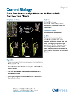 Bats Are Acoustically Attracted to Mutualistic Carnivorous Plants