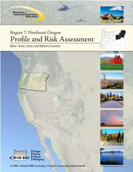 Region 7 Profile and Risk Assessment