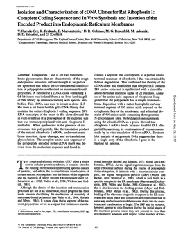 Isolation and Characterization of Cdna Clones for Rat Ribophorin I