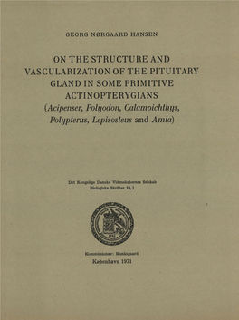 ON the STRUCTURE and VASCULARIZATION of the PITUITARY GLAND in SOME PRIMITIVE ACTINOPTERYGIANS (Acipenser, Polyodon, Calamoichthys, Polypterus, Lepisosteus and Amia)