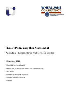 Phase I Preliminary Risk Assessment