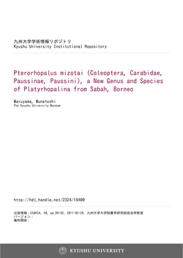 Coleoptera, Carabidae, Paussinae, Paussini), a New Genus and Species of Platyrhopalina from Sabah, Borneo