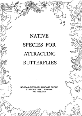 Native Species for Attracting Butterflies
