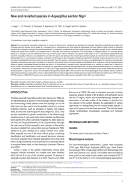 New and Revisited Species in Aspergillus Section Nigri