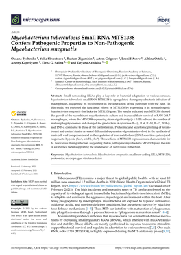 Mycobacterium Tuberculosis Small RNA MTS1338 Confers Pathogenic Properties to Non-Pathogenic Mycobacterium Smegmatis