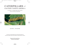 00 Caterpillars EUSA/Pp01-34 3/9/05 2:31 PM Page 1