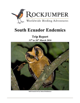 South Ecuador Endemics