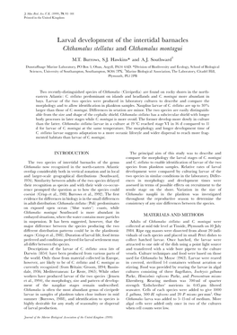 Larval Development of the Intertidal Barnacles Chthamalus Stellatus and Chthamalus Montagui