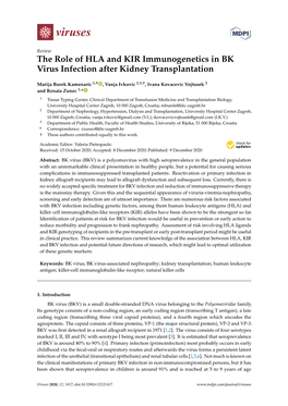 The Role of HLA and KIR Immunogenetics in BK Virus Infection After Kidney Transplantation