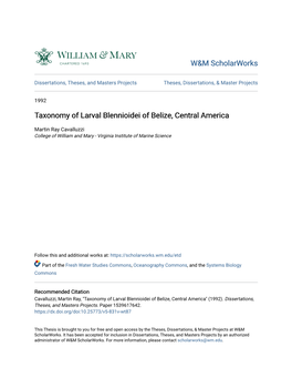 Taxonomy of Larval Blennioidei of Belize, Central America