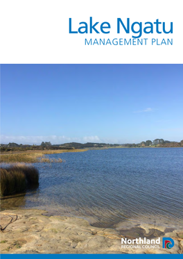 Lake Ngatu MANAGEMENT PLAN CONTENTS