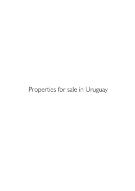 Properties for Sale in Uruguay Punta Del Este