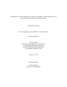 A Study of the Middle to Upper Paleolithic Site of Abri Des Merveilles in the Vézère Valley, France